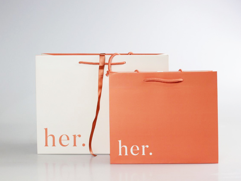 Mẫu túi giấy boutique cao cấp